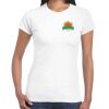 Womens Softstyle Tee Shirt Thumbnail